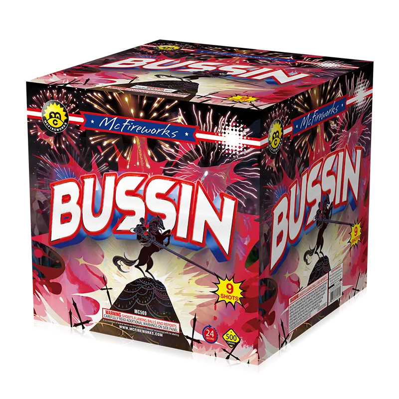 Busssin 9 Schüsse 500 g Kuchen MC569